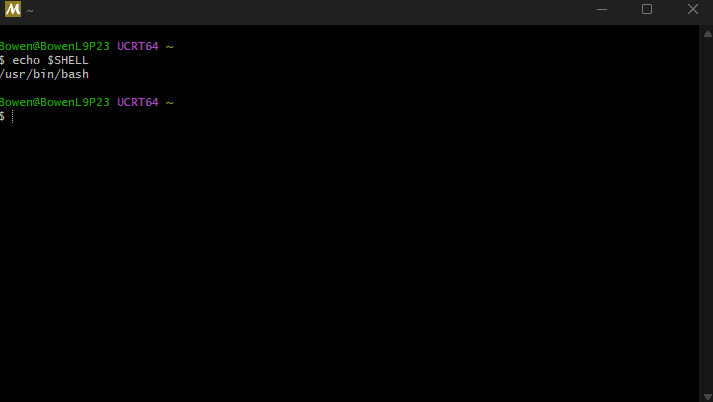 MSYS2使用的终端