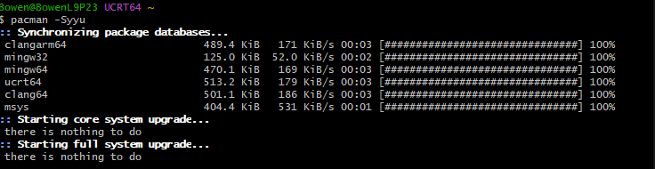 MSYS2进行更新